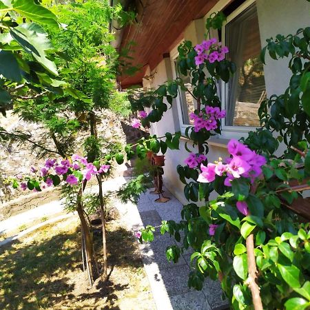 Lili House Apartman Portorož Kültér fotó