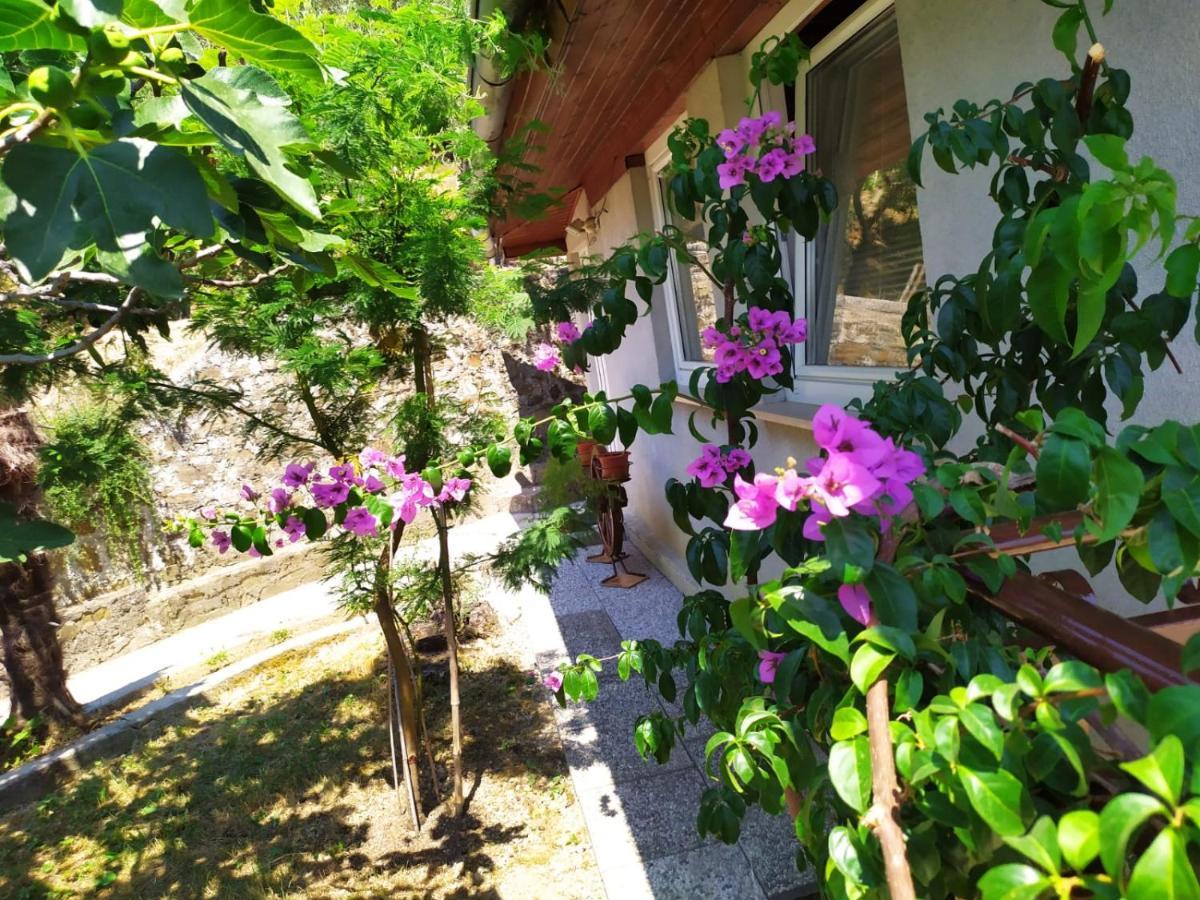 Lili House Apartman Portorož Kültér fotó